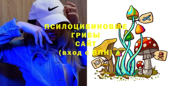 МДПВ Алексин